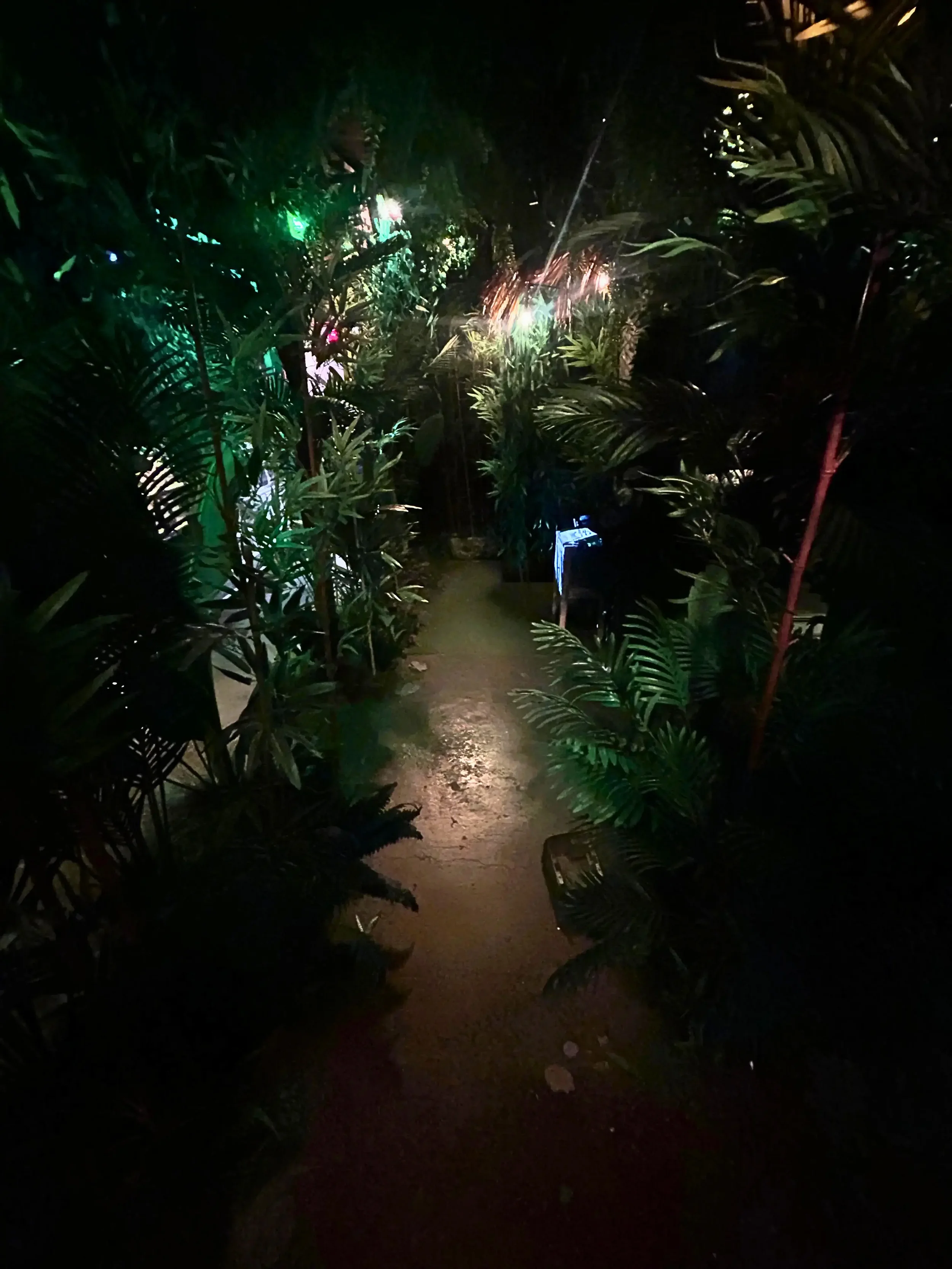 Heber City's newest jungle themed escape room.