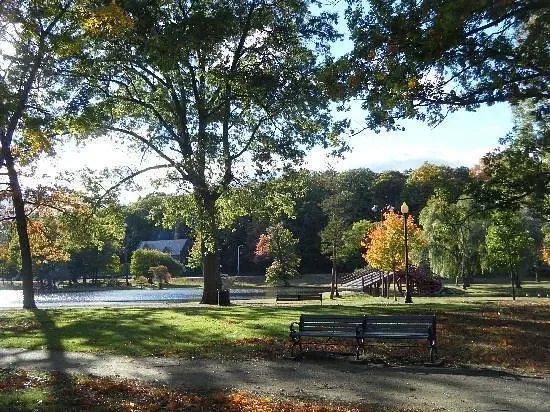 Elm Park scene Worcester, Massachusetts, A park with green grass, large trees with some fall foliage, a pond, and benches under a partly cloudy sky.