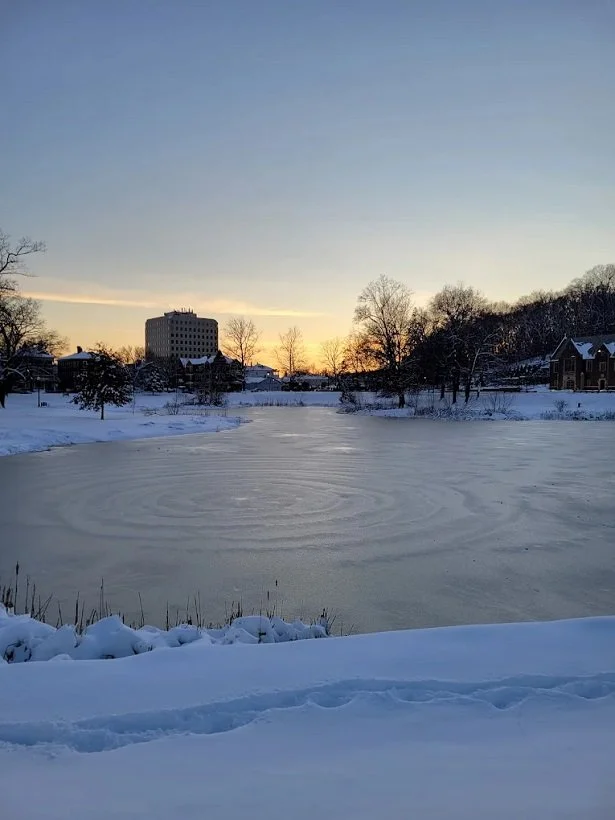 Elm Park during the winter. Snow-covered park with frozen pond, trees, houses, and a city building in the background during sunset.