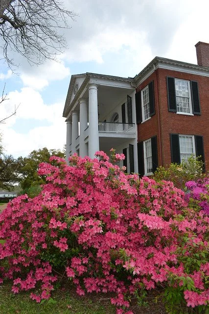 Spring in Natchez, MS