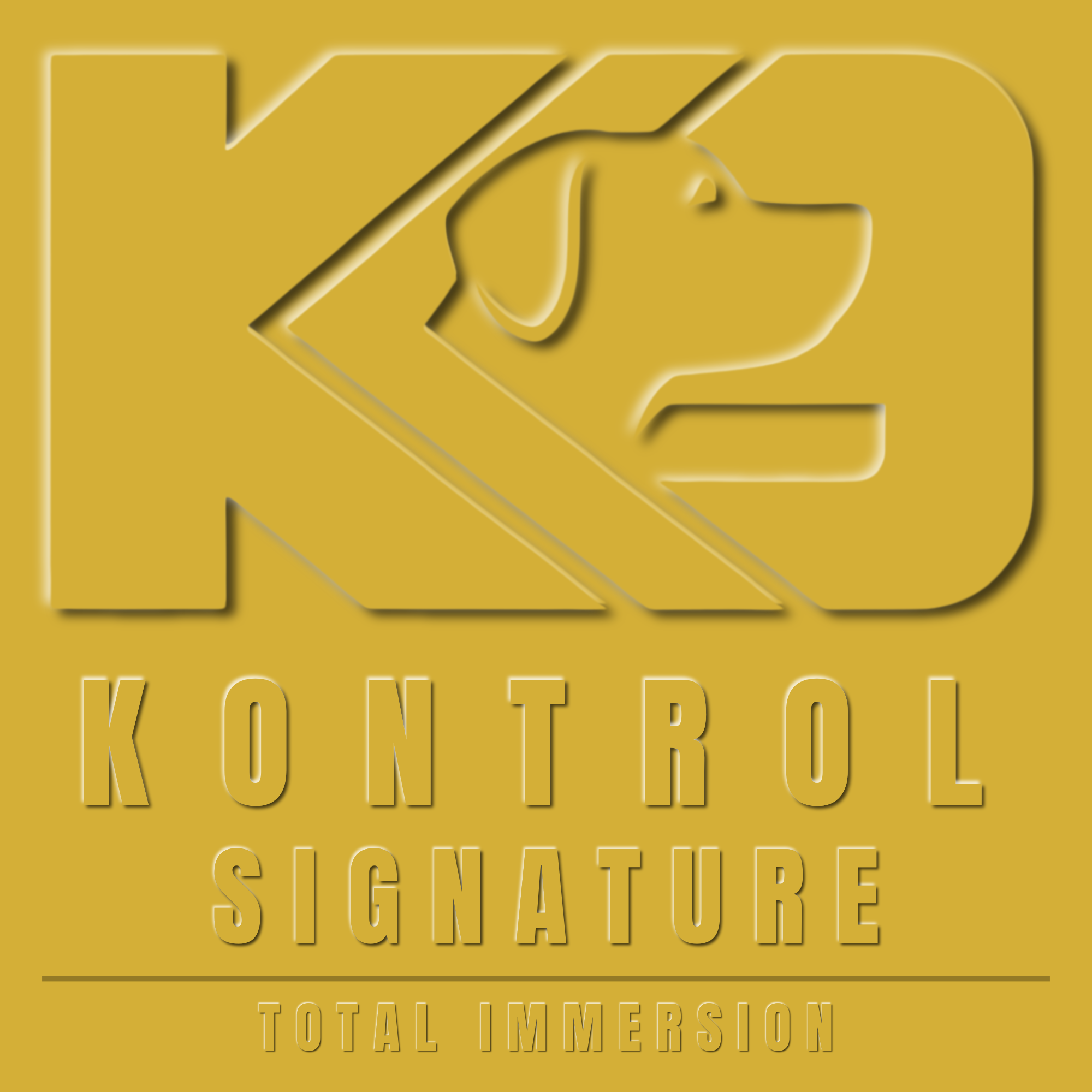 Kontrol Session