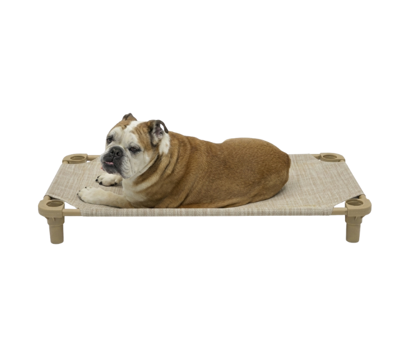 Cot Bed
