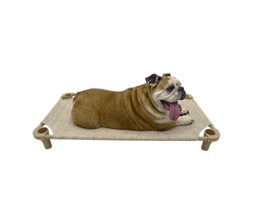 Cot Bed