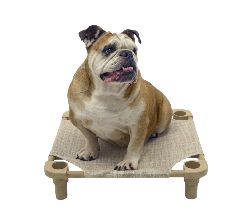 Cot Bed
