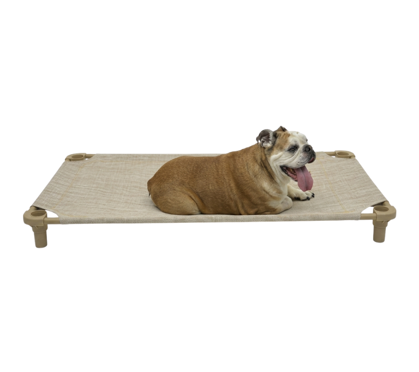 Cot Bed