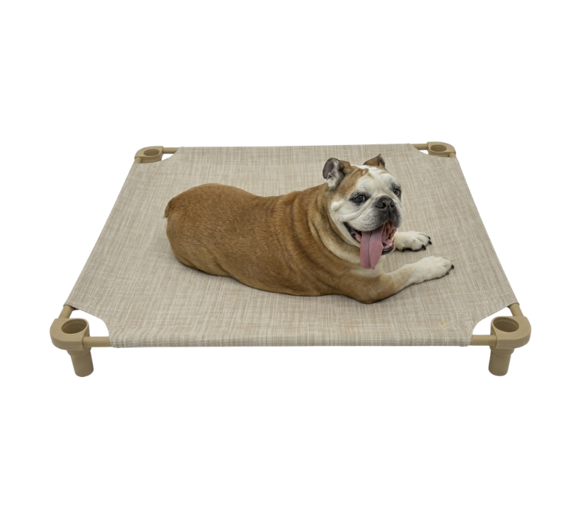 Cot Bed