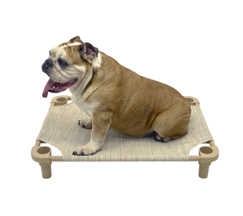 Cot Bed