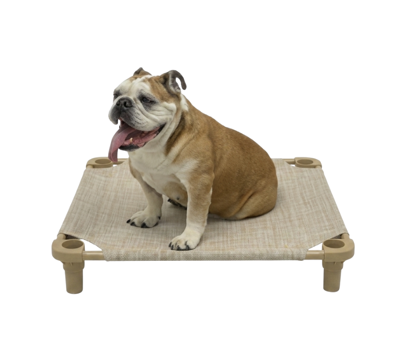 Cot Bed