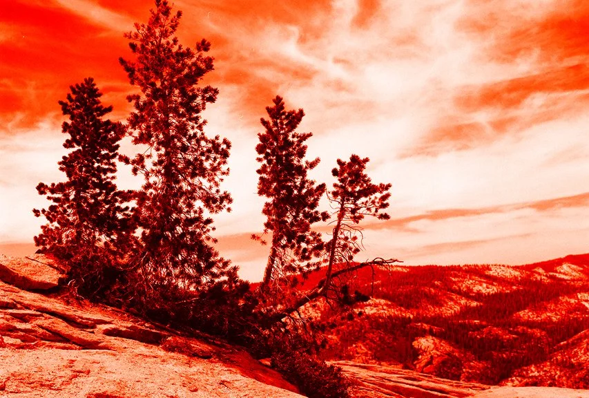 Yosemite abstract7.jpg