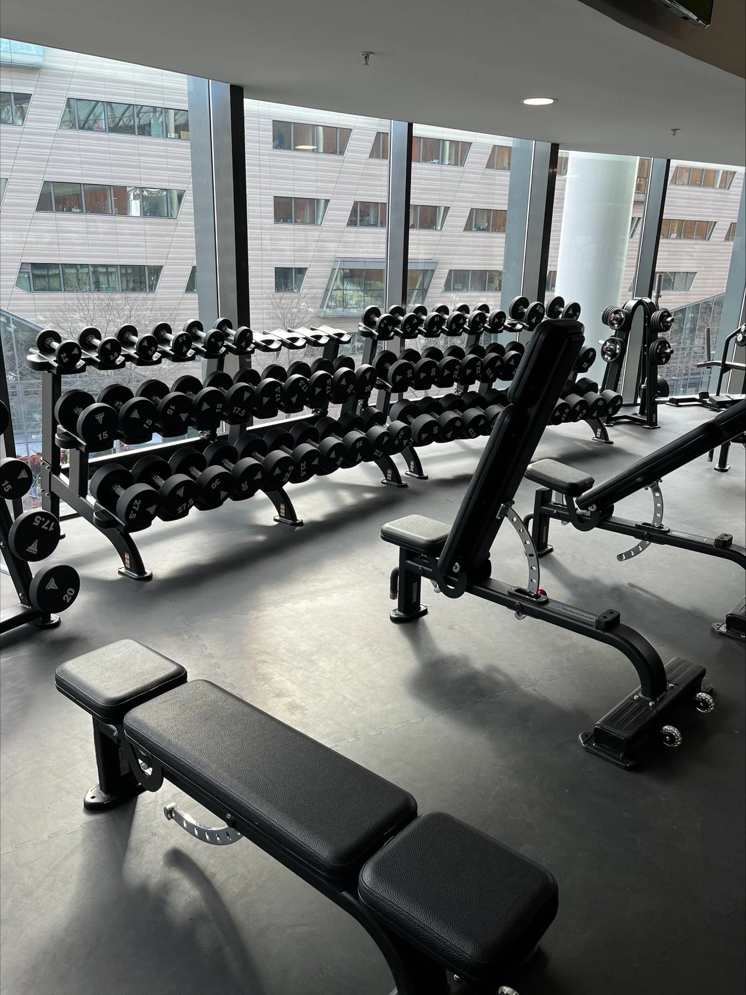 Gym equipment including a black adjustable workout bench, a rack of dumbbells ranging from 2.5 to 37.5 pounds, with large windows showing a modern office building outside.