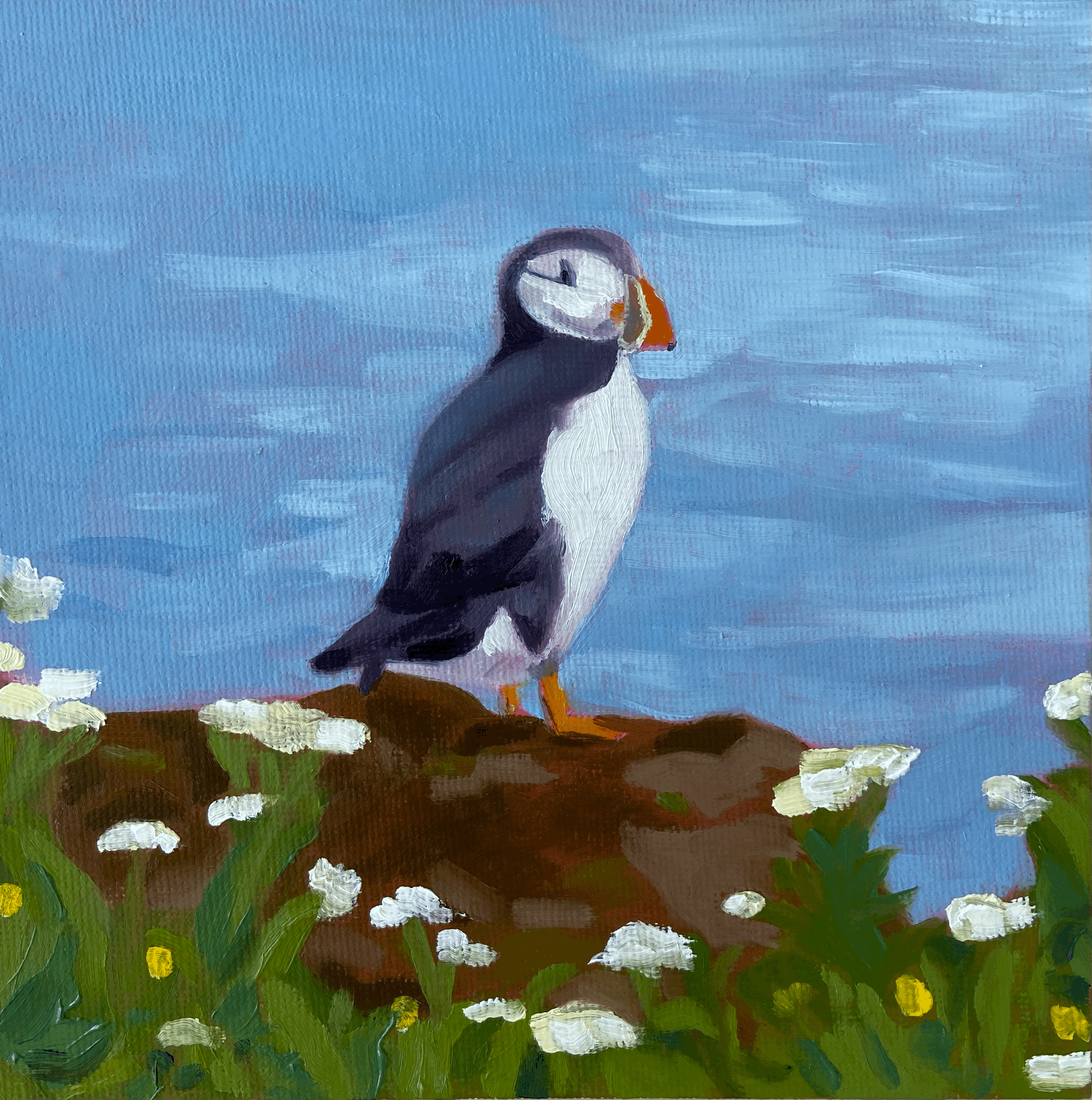 Puffin No. 3