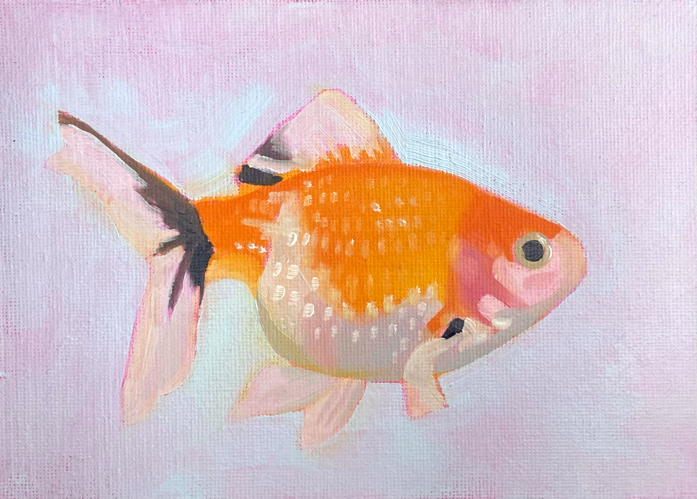 Goldfish Original Painting