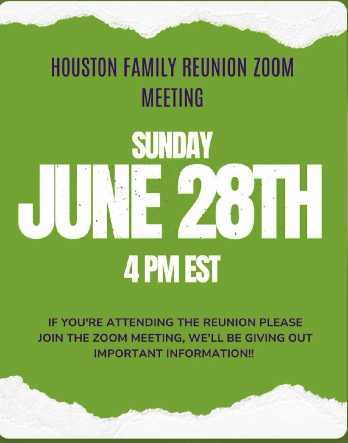 Family Zoom Meeting