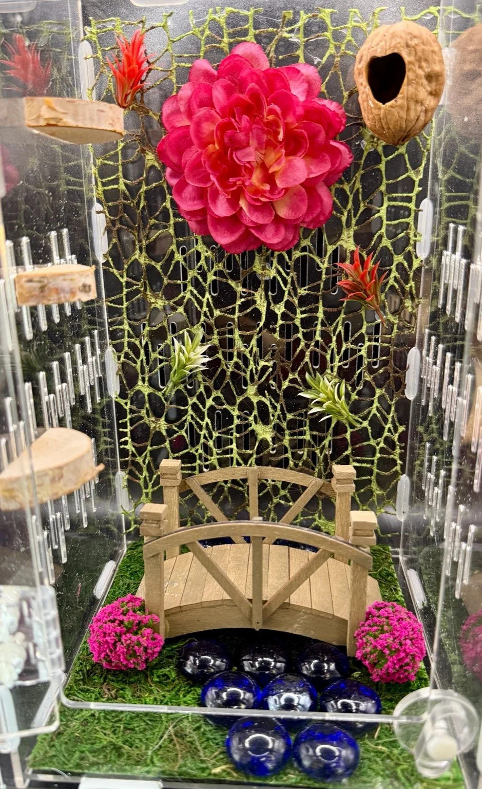 Blossom Bridge Garden