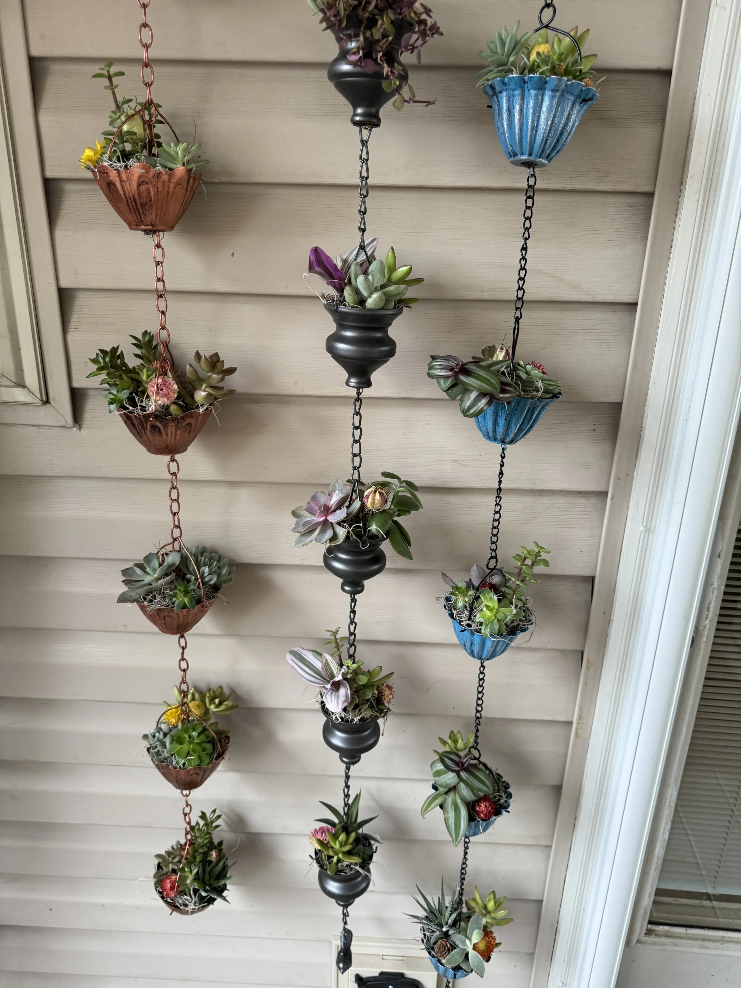 Vertical hanging garden in rain chain with multiple small planters filled with succulents, suspended by chains against a beige outdoor wall.