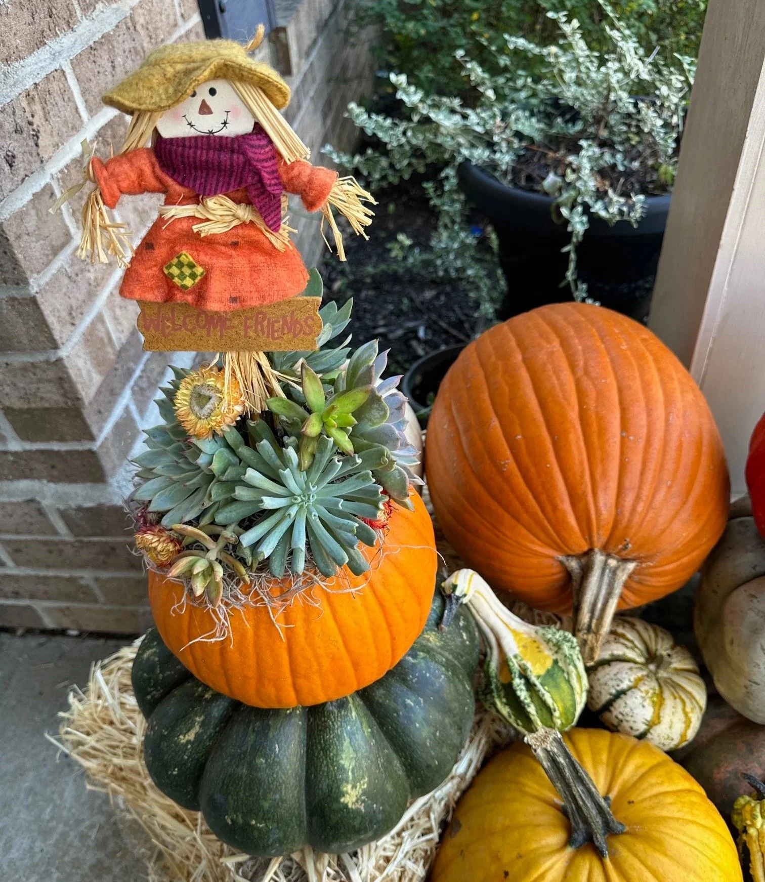 Halloween-themed pumpkin display with a small scarecrow doll on a pumpkin, surrounded by various pumpkins and gourds on hay.