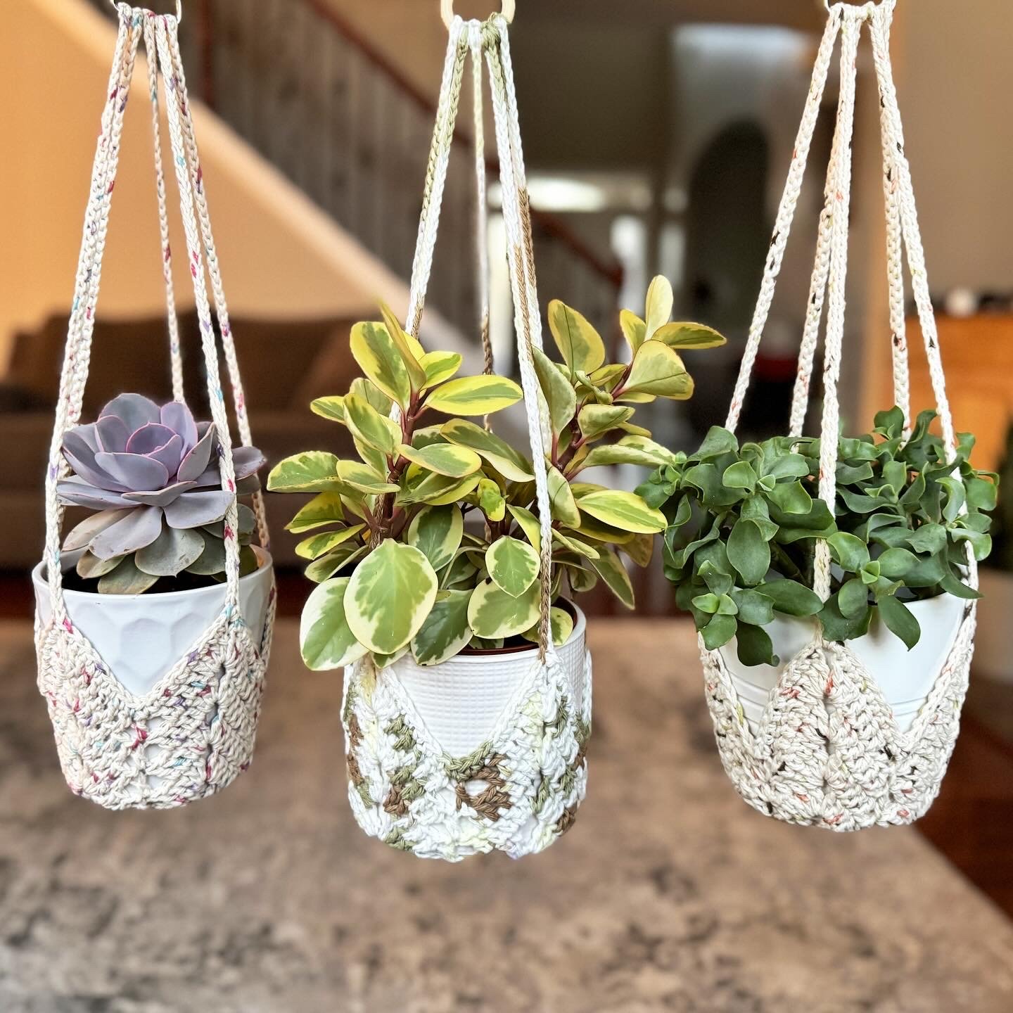 Three potted plants hanging in woven crochet holders on a kitchen or living room surface.