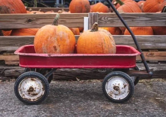 PumpkinWagon.jpg