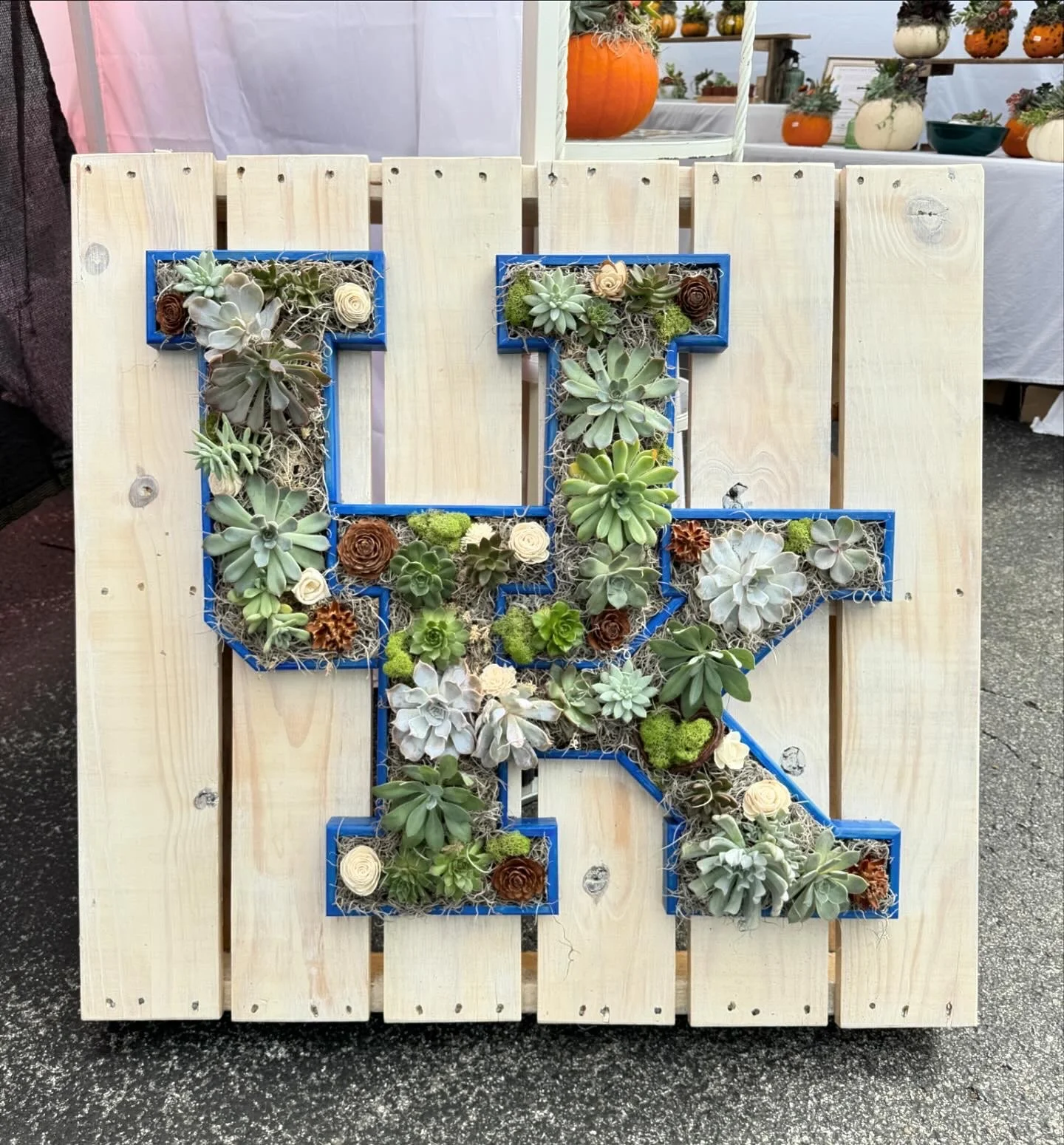 Decorative UK frame filled with various succulents, mounted on a light-colored wooden pallet.