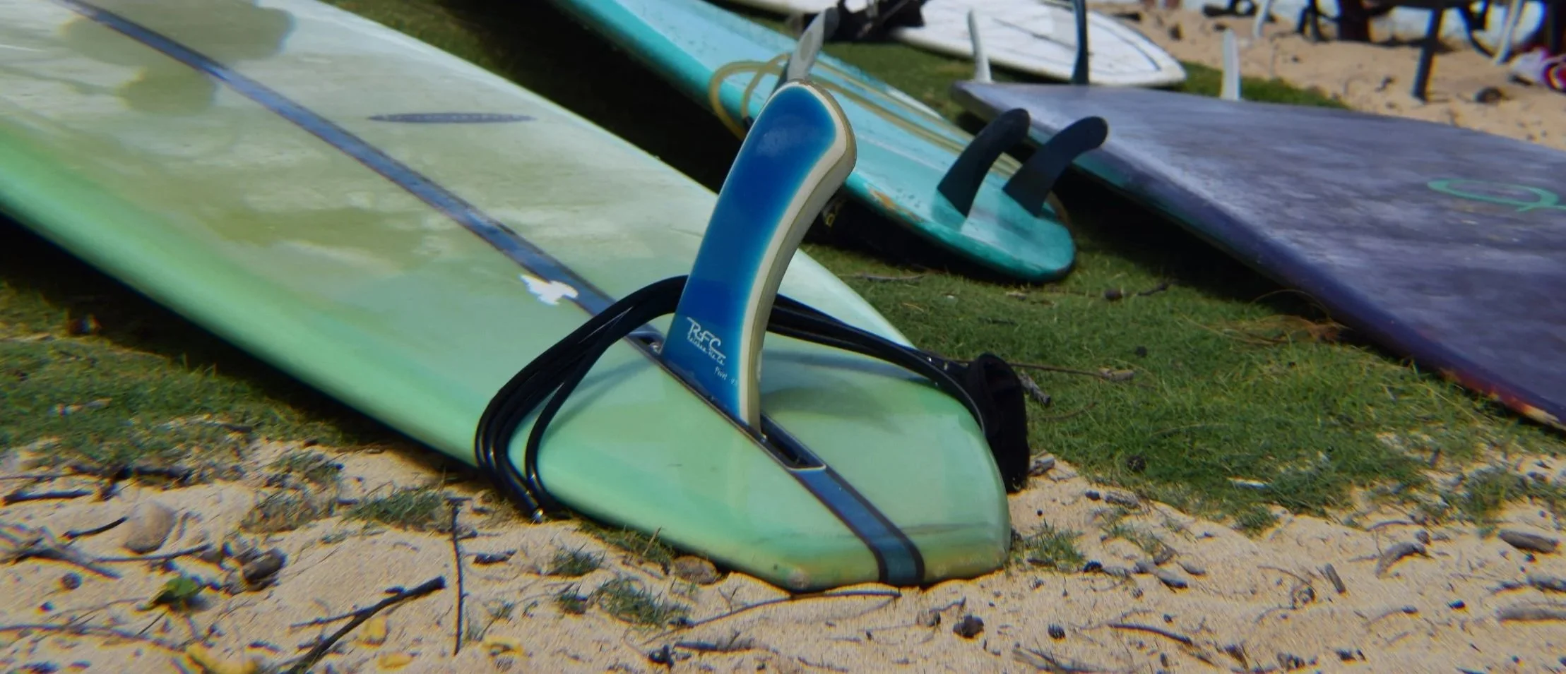 Special Topics Tuesday: Confessions of a Settler Colonizer