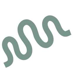 I Can See You Squiggle Sage