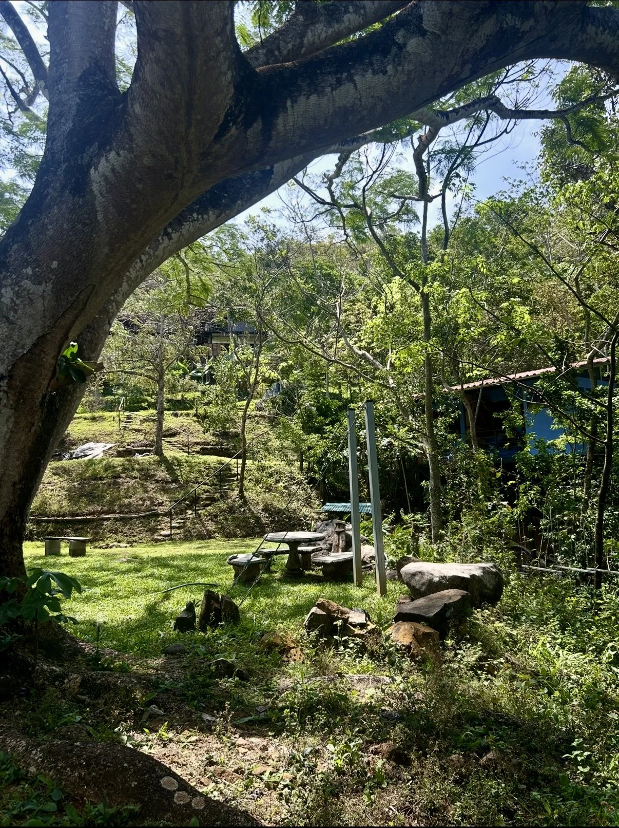 The Estate