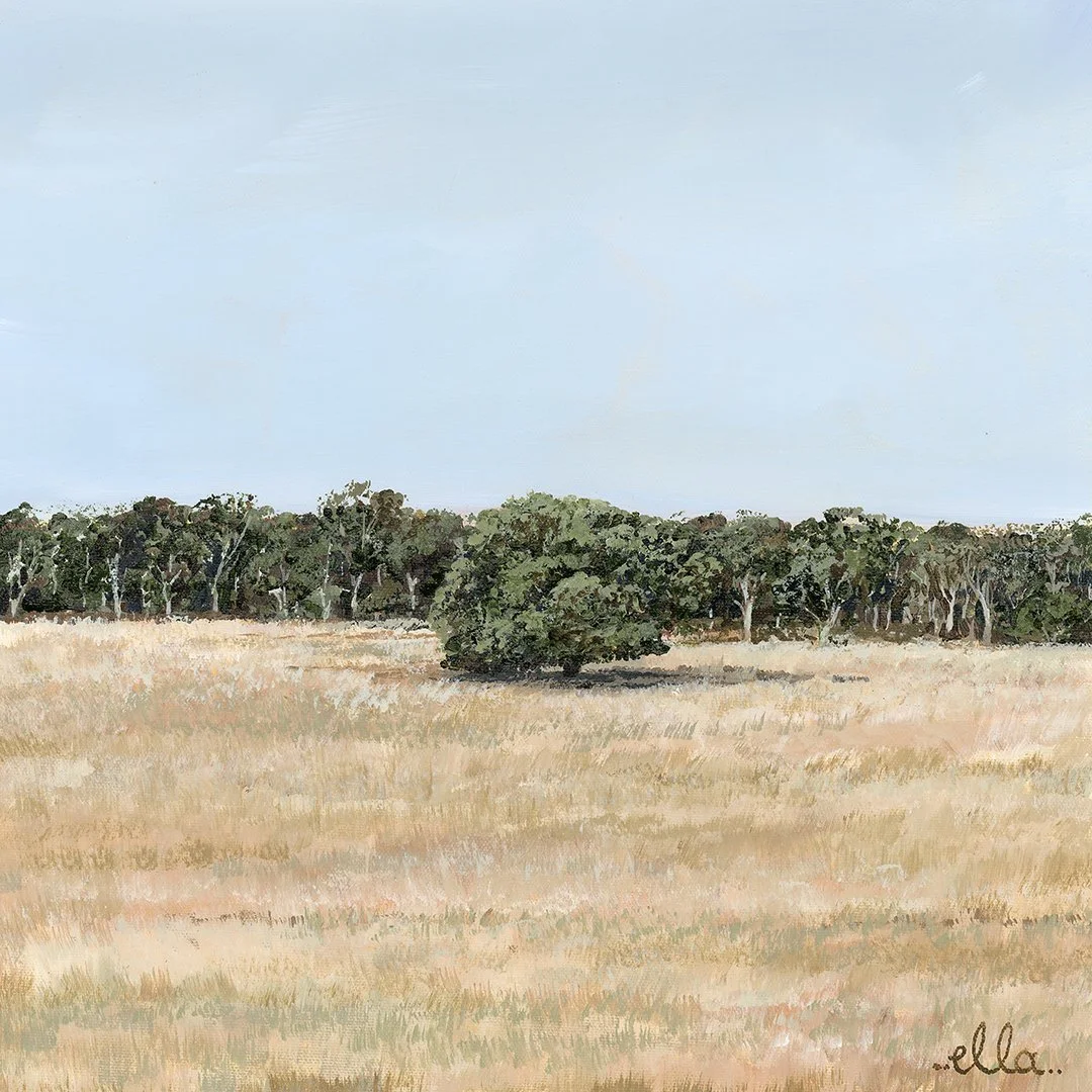 Ella+Boylan_Shade+tree_35x35LR.jpg
