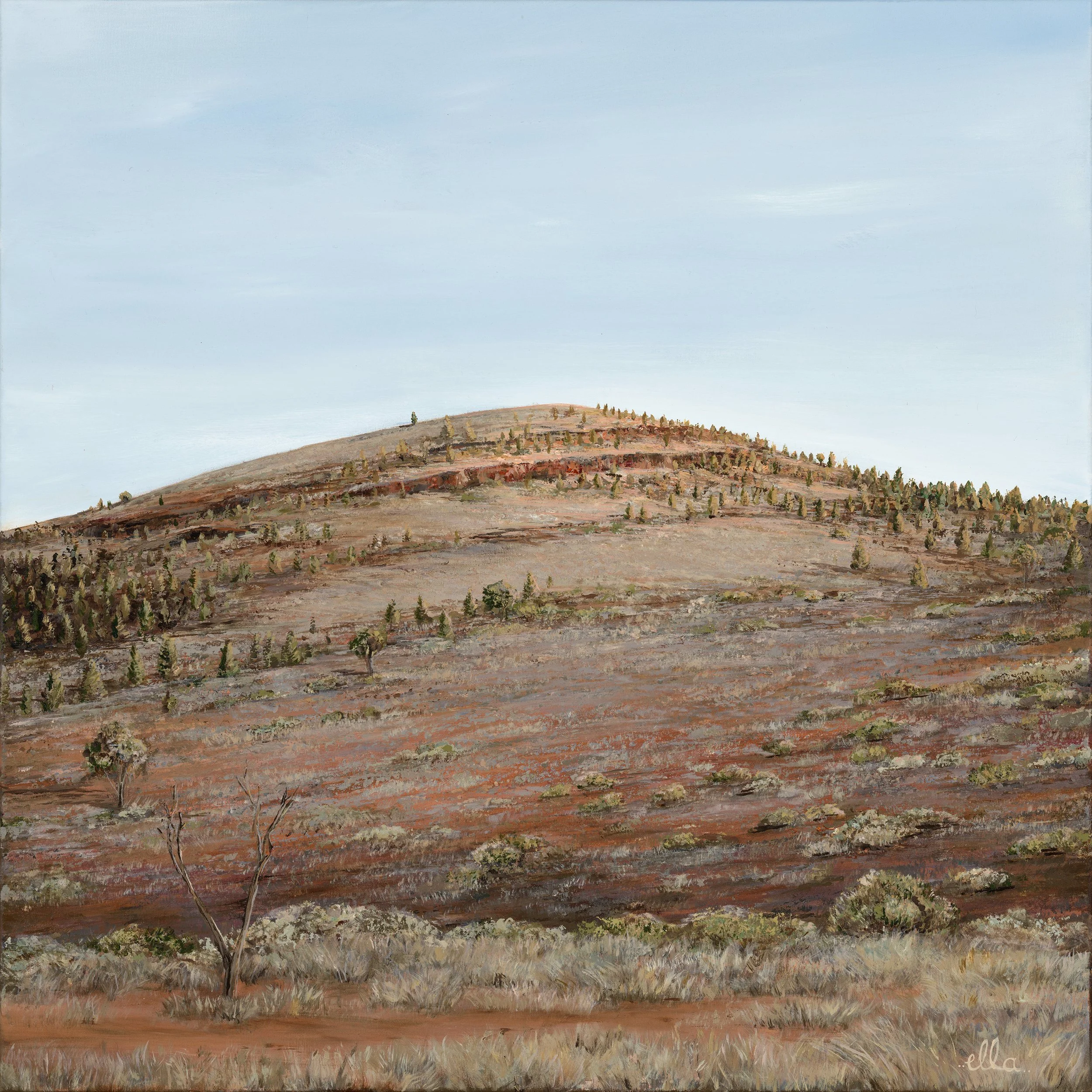 Untitled_Panorama-5.jpg