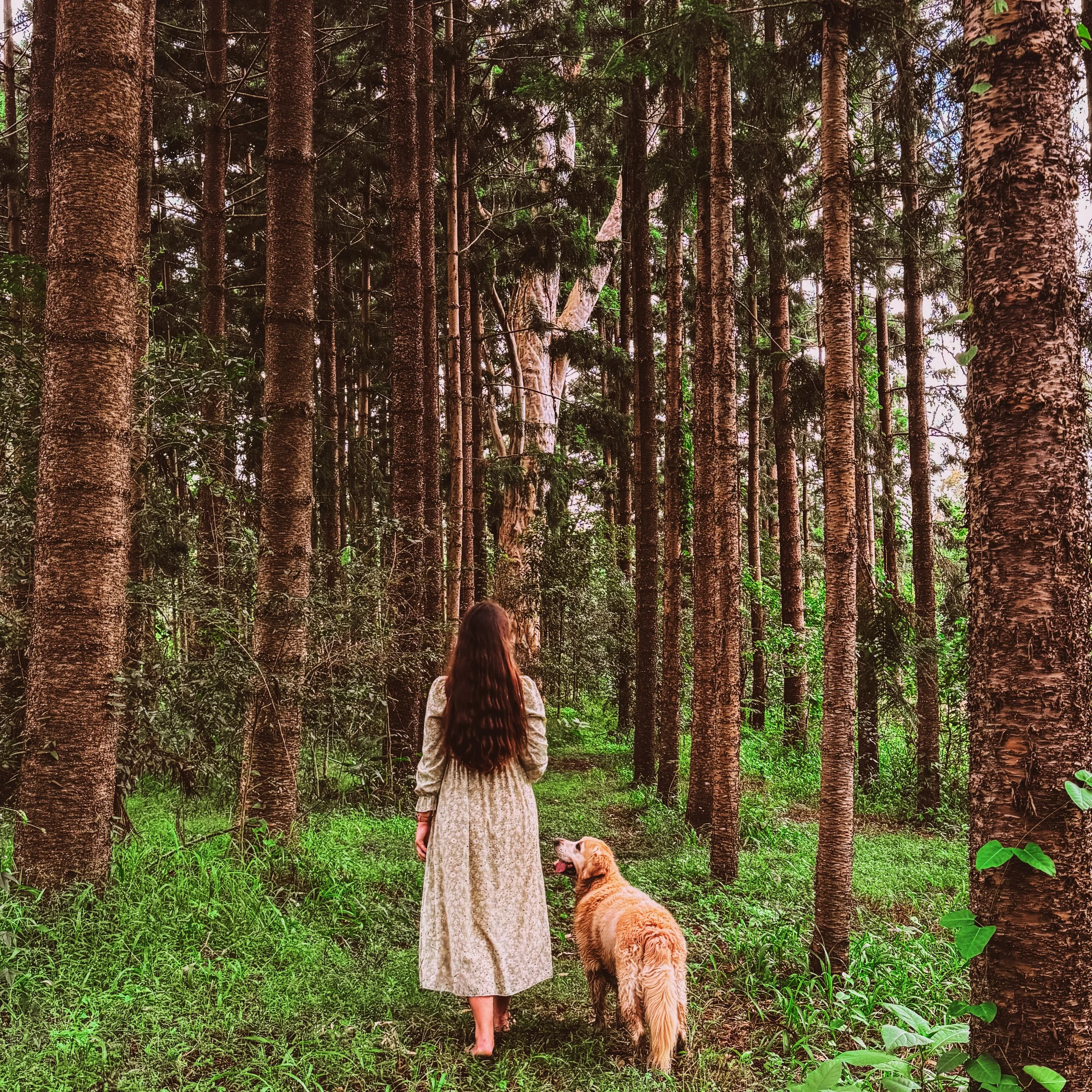 A Place to Call Home