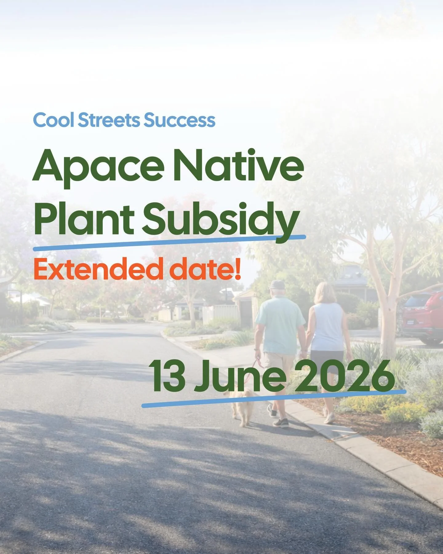 APACE WA Native Plant Subsidy - Cool Streets Success

Support local biodiversity and help create cooler, greener streets in Success, by planting WA native species in your verge and garden.

The APACE Native Plant Subsidy offers a fantastic range of l