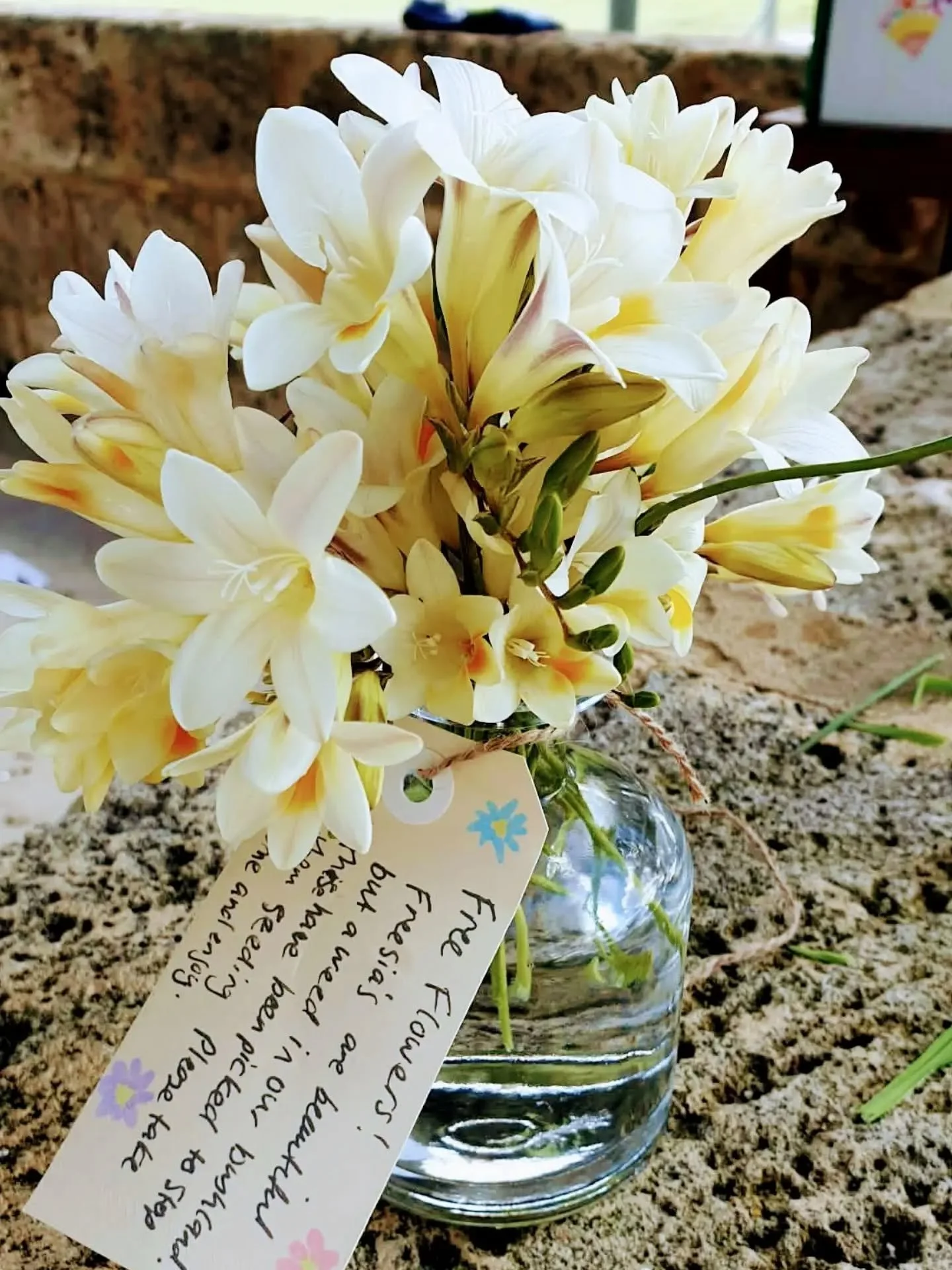 Free Flowers! These are weeds ...but they'll look great on your kitchen bench. 
🥰🌼
One of our local flower fairies removed these plants from a local rehab site to clear the way for natives. These flowers were shared last week at our Jam Hammond Com
