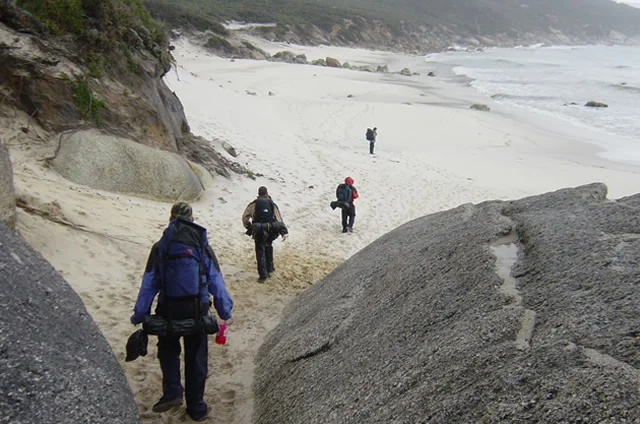 bushwalking wilsonsprom 3.jpg