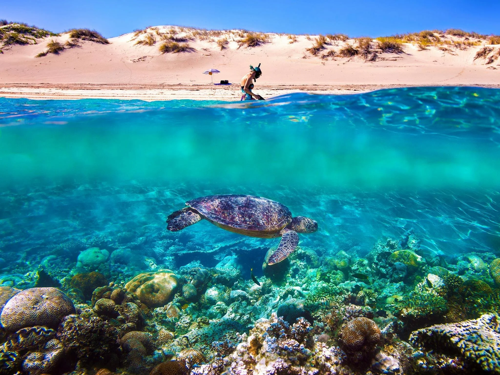 🌅 Go West: 11 Day Ultimate Western Australia Adventure 🌊