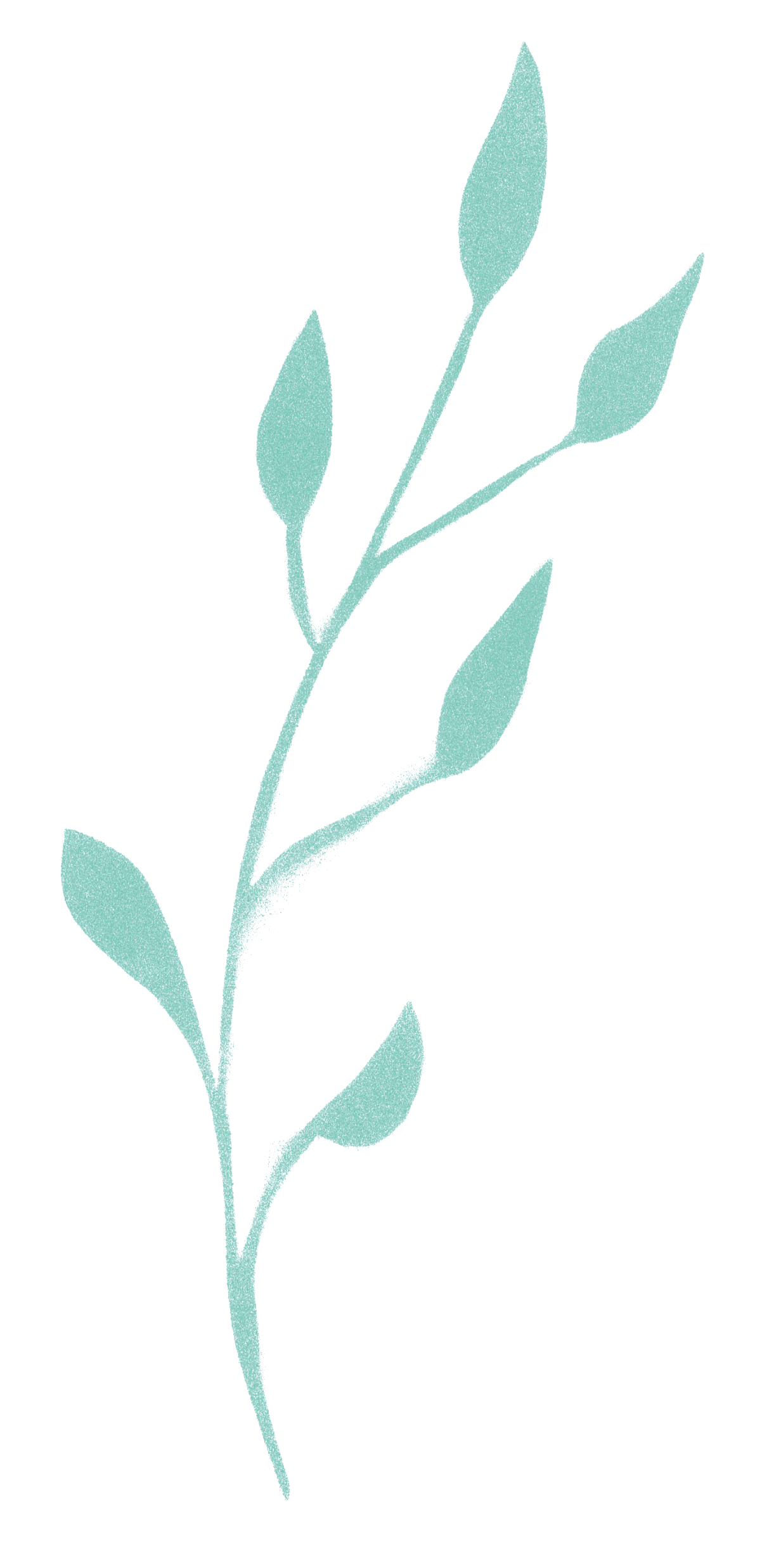 淡い青緑色の葉のシルエットが黒い背景に描かれている。