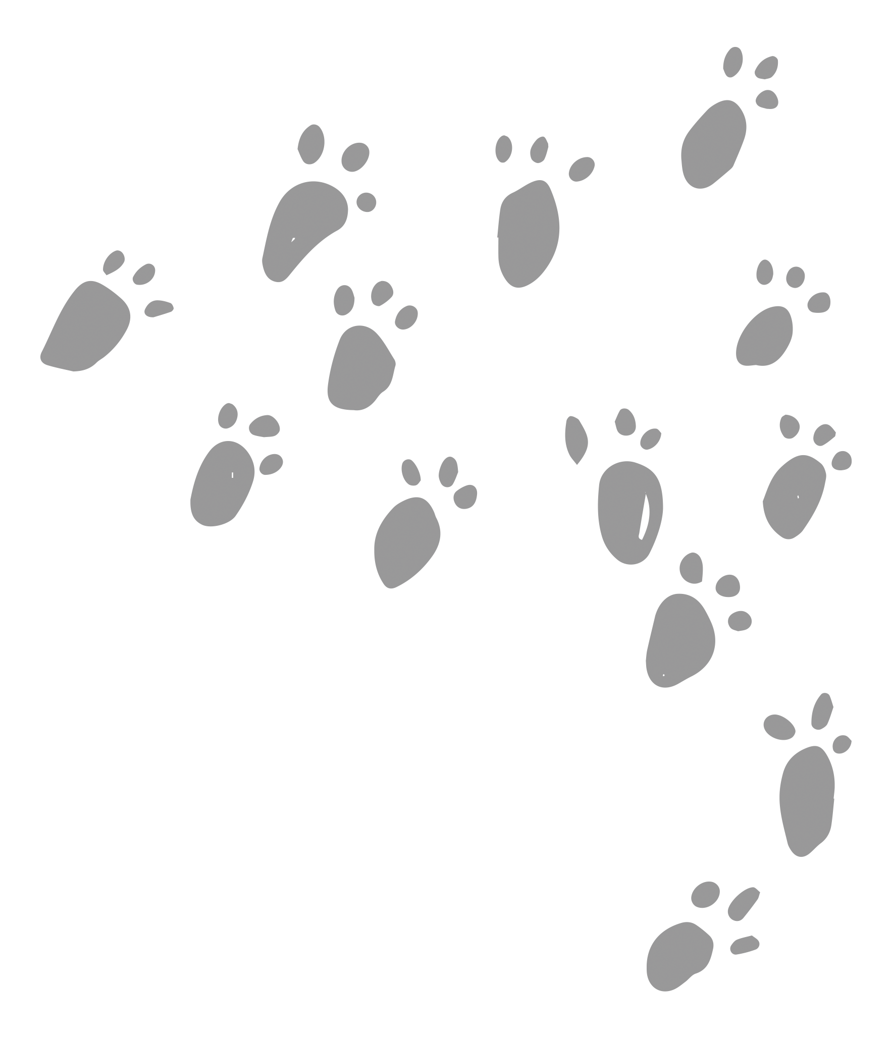 黒い背景に灰色の動物の足跡のパターン