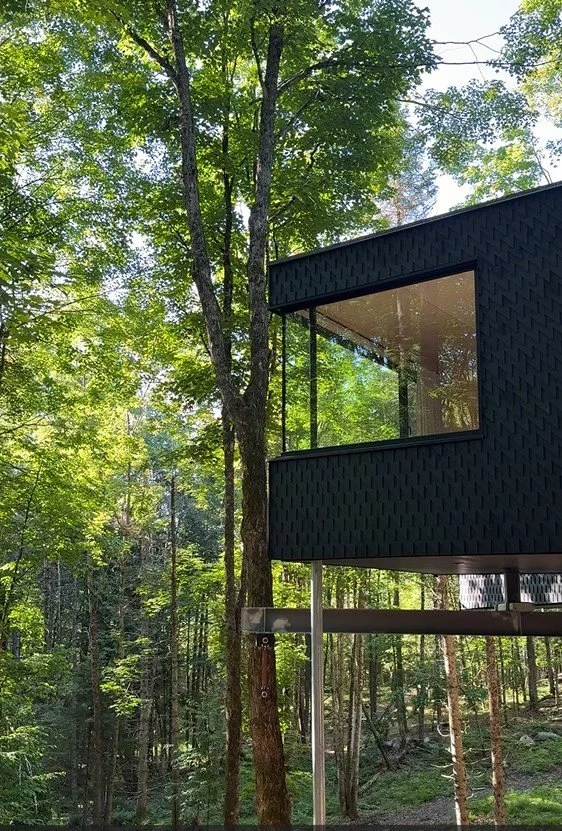 Modern black house with large glass windows in a lush green forest.