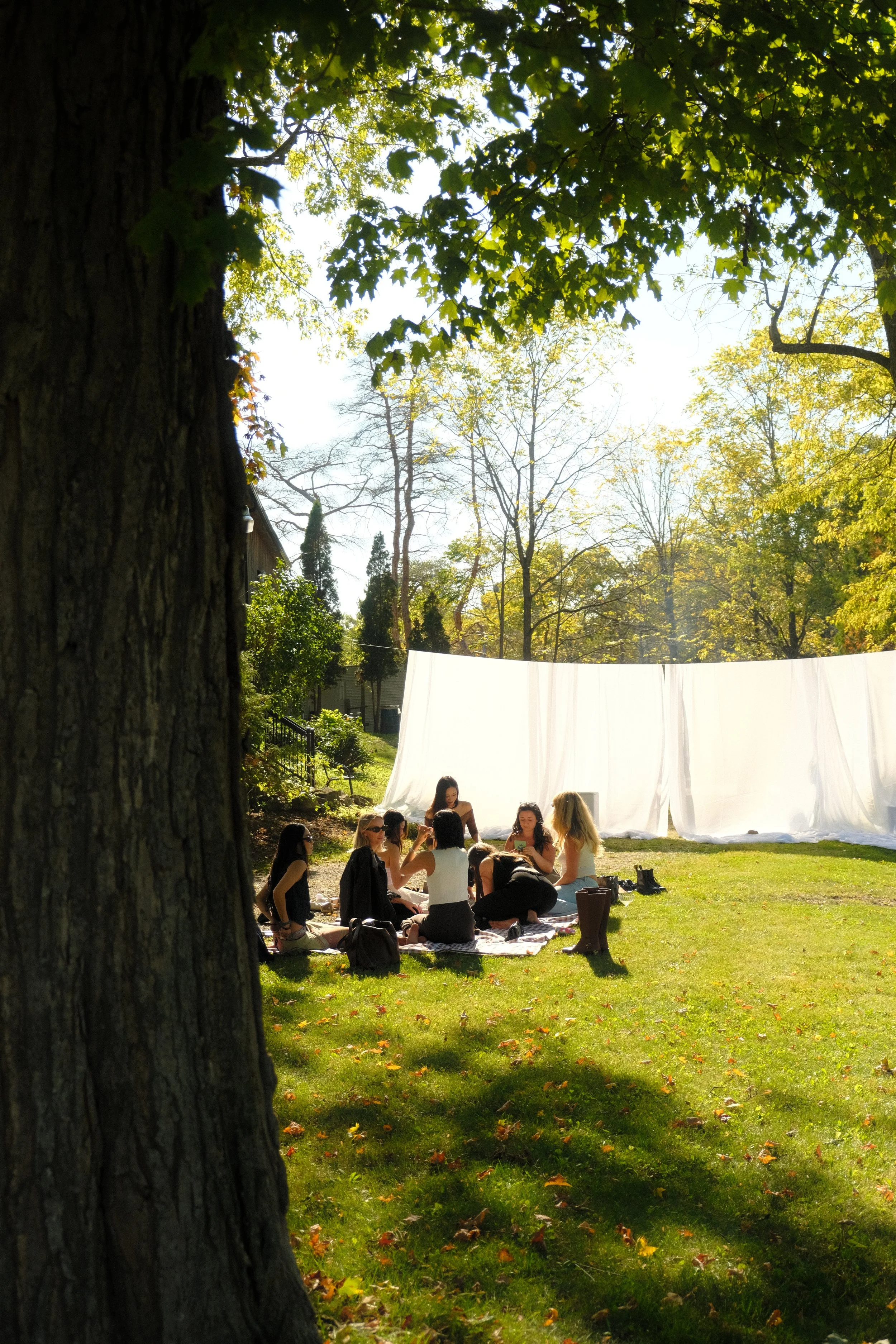 Copy of DSCF0073.JPG