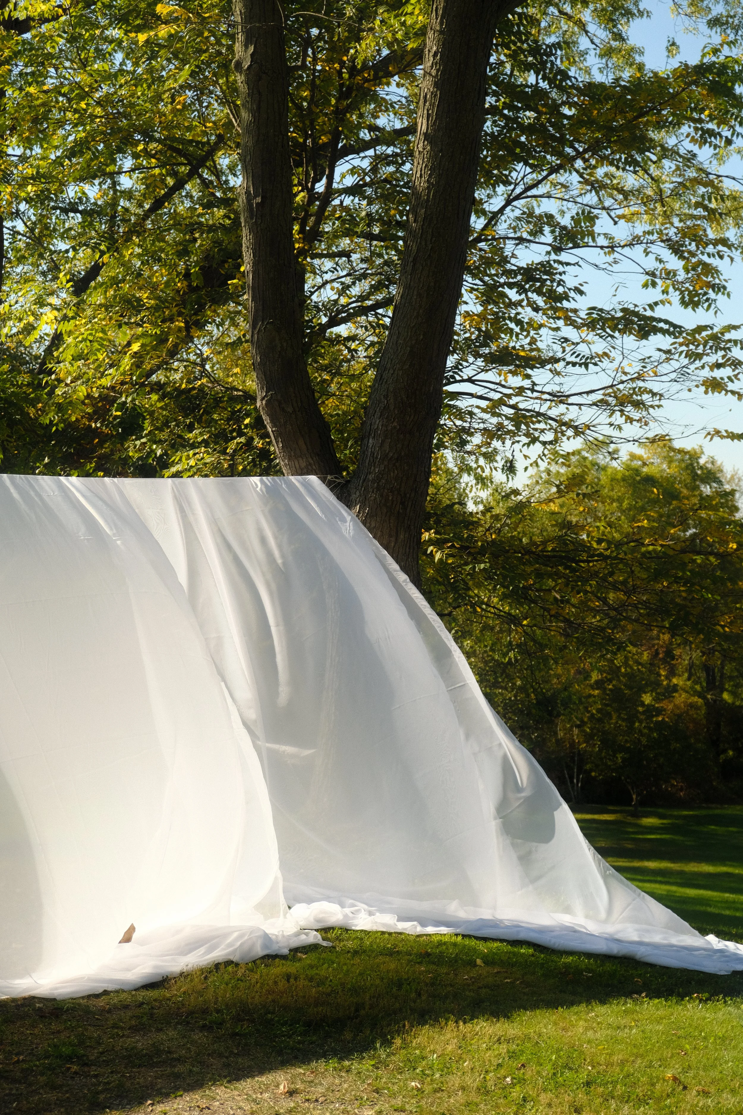 Copy of DSCF0066.JPG