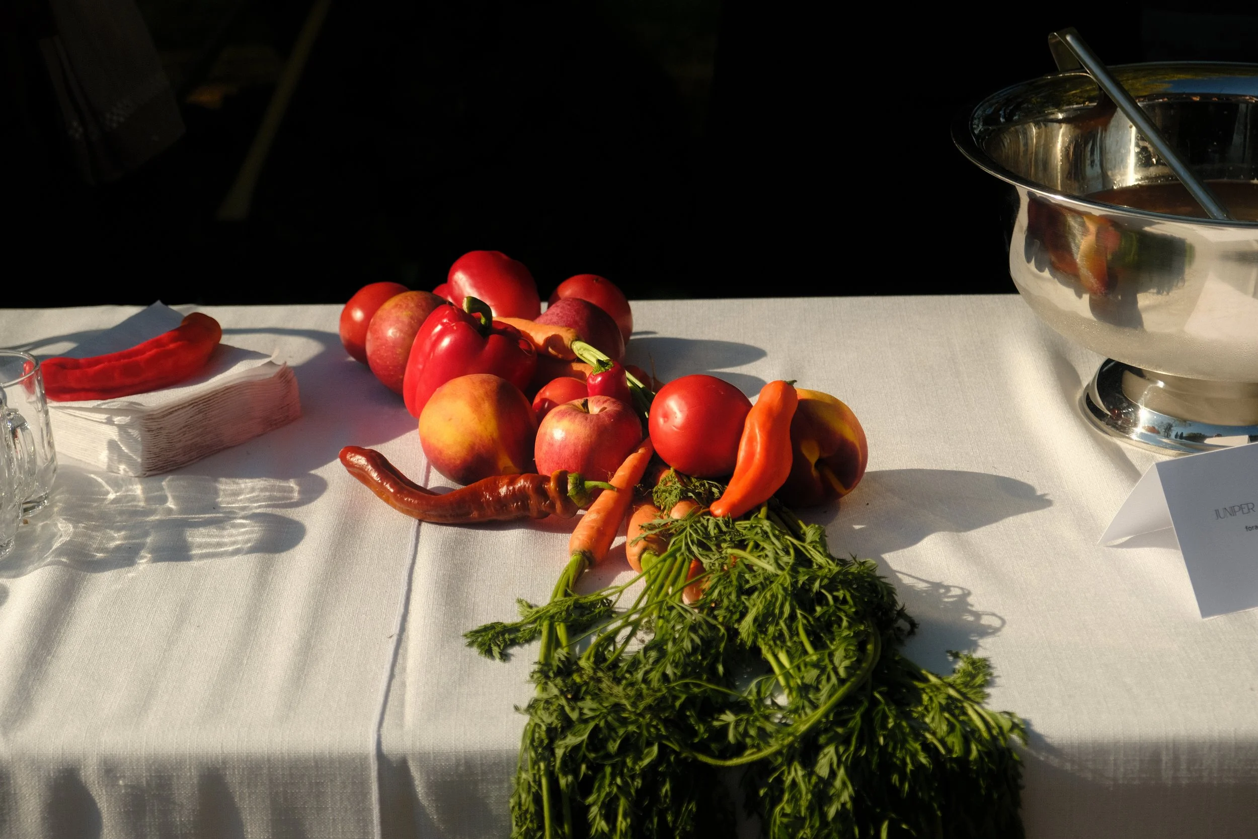 Copy of DSCF0116.JPG