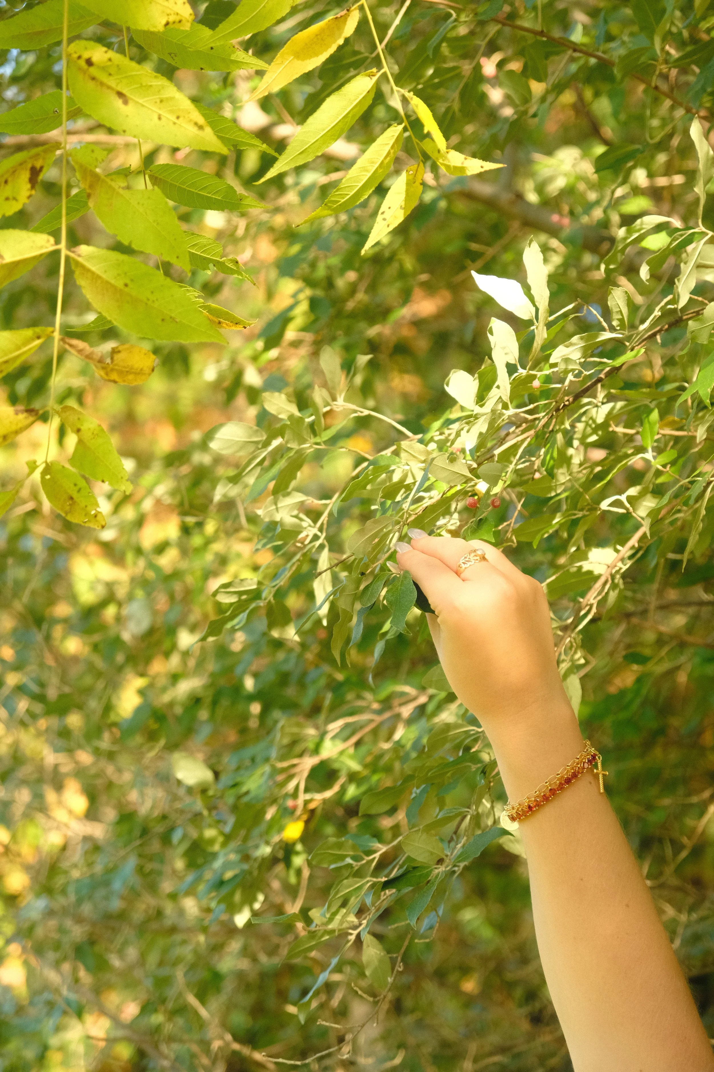 Copy of DSCF0189.JPG