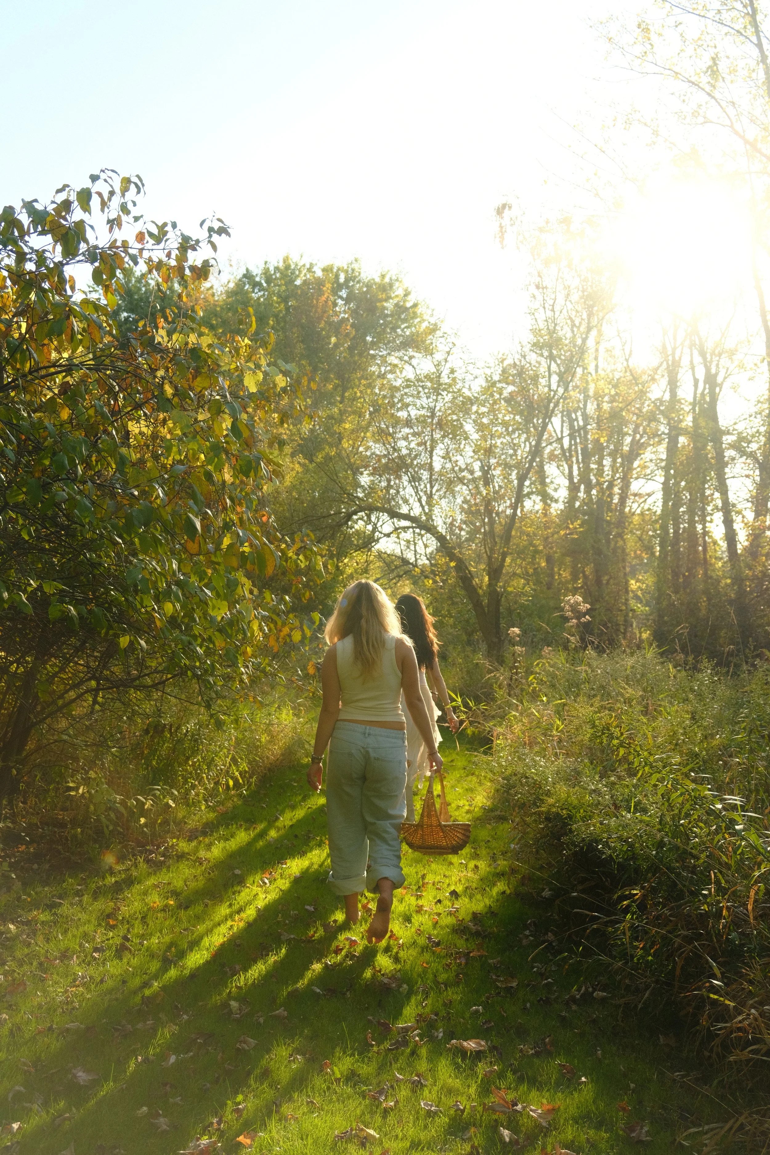 Copy of DSCF0223.JPG