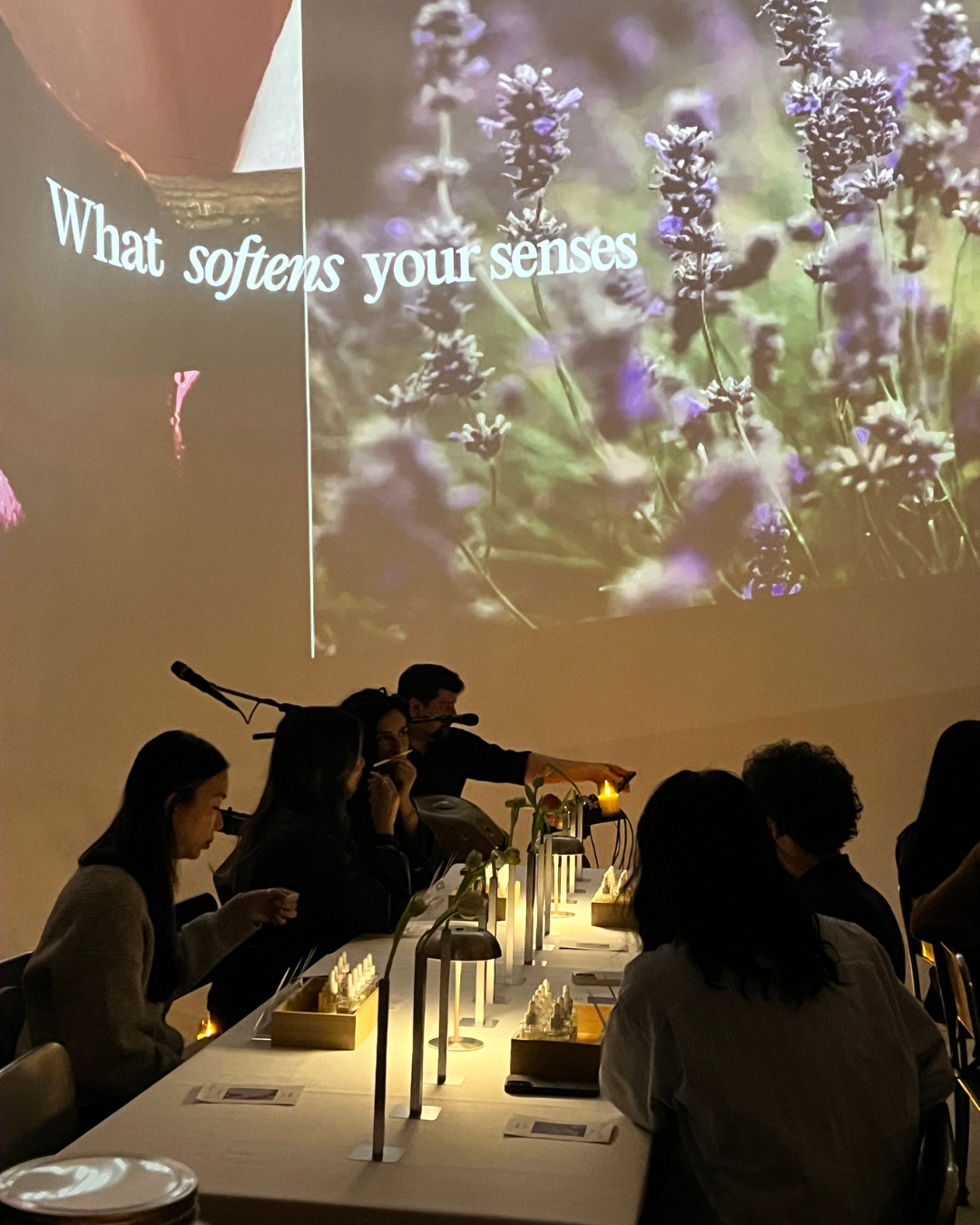 Scent of Stillness 001