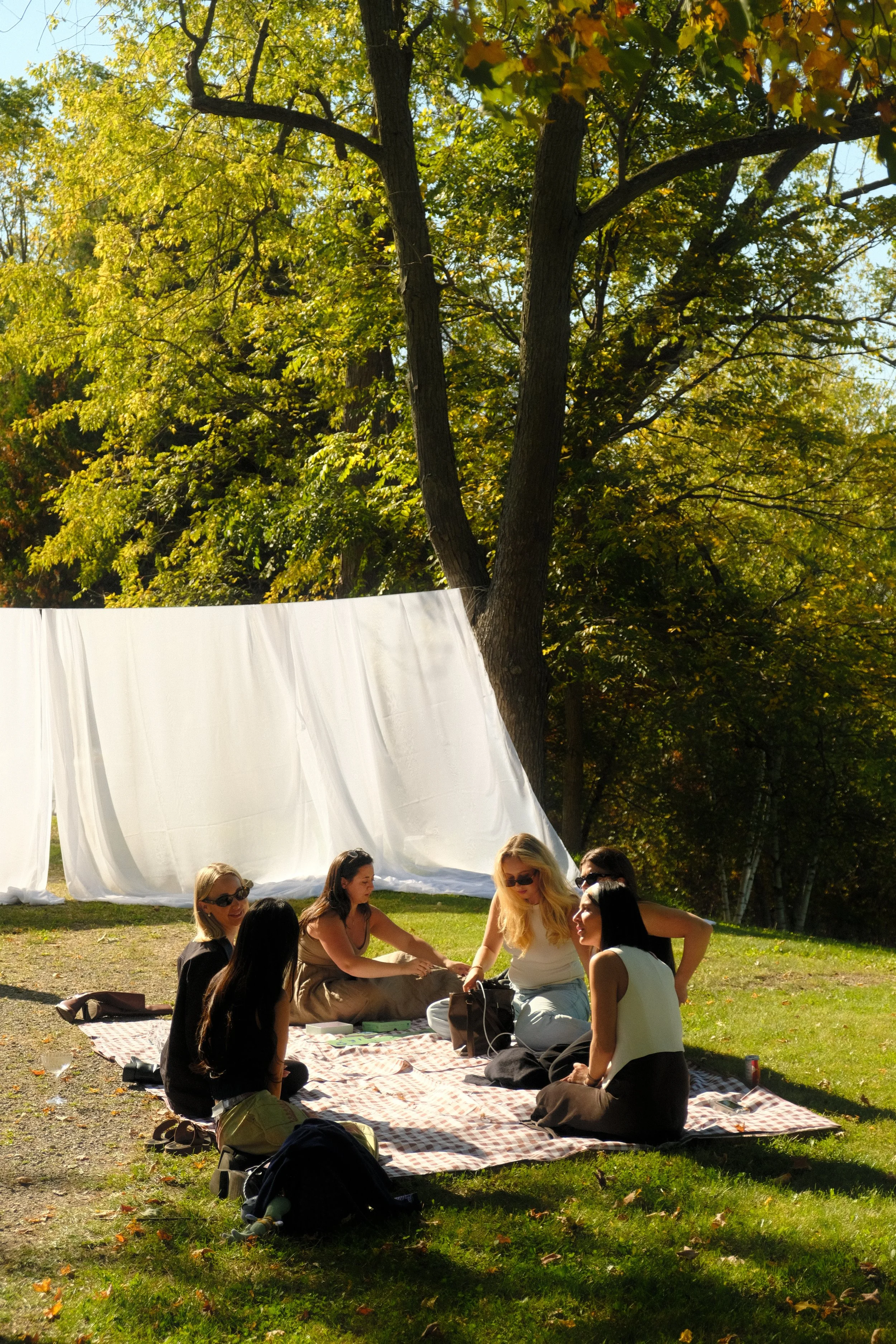 Copy of DSCF0067.JPG