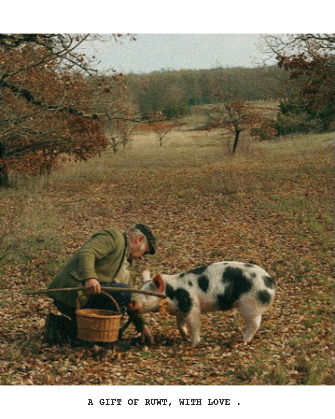 A man kneeling in a park with autumn leaves, feeding a pig with a stick. The pig is black and white, and the man is holding a basket. The scene is peaceful with trees in the background.
