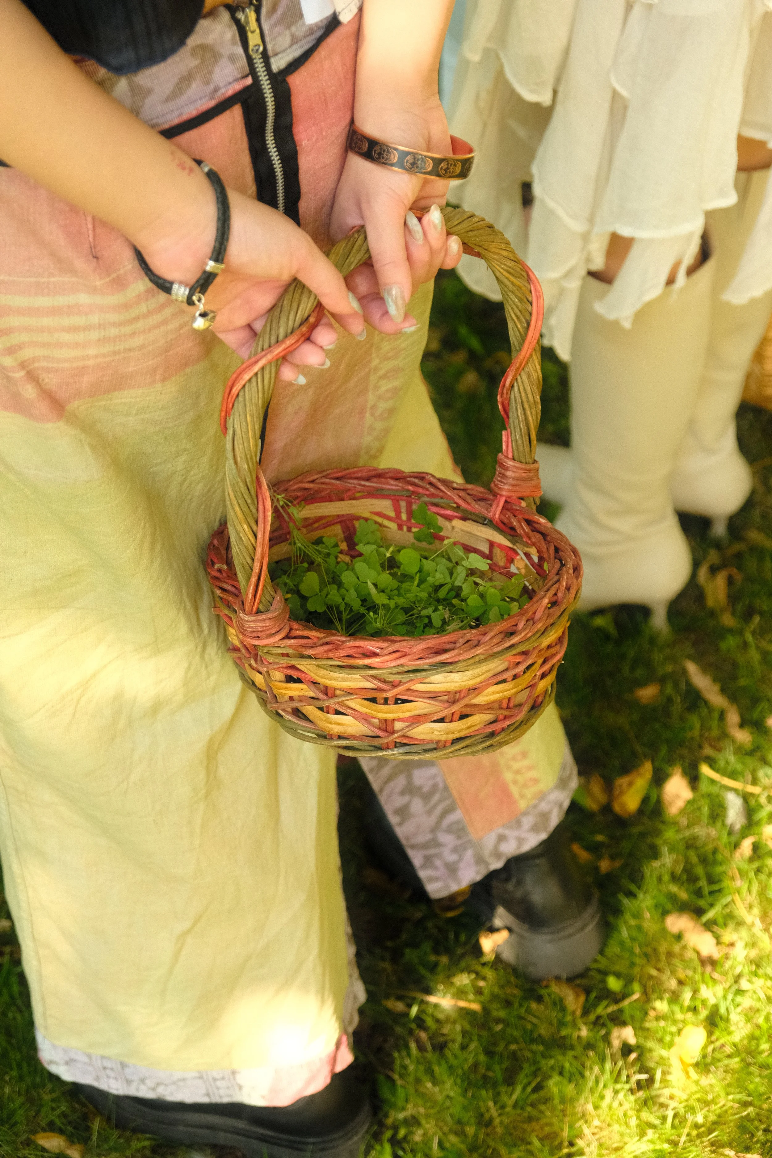 Copy of DSCF0184.JPG