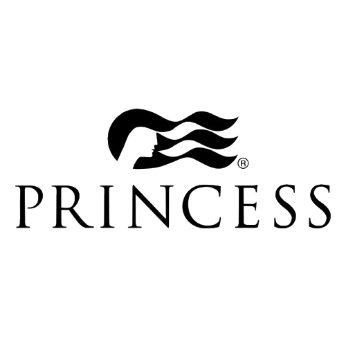 Logo of Princess with a stylized crown above the word 'PRINCESS' in uppercase letters.