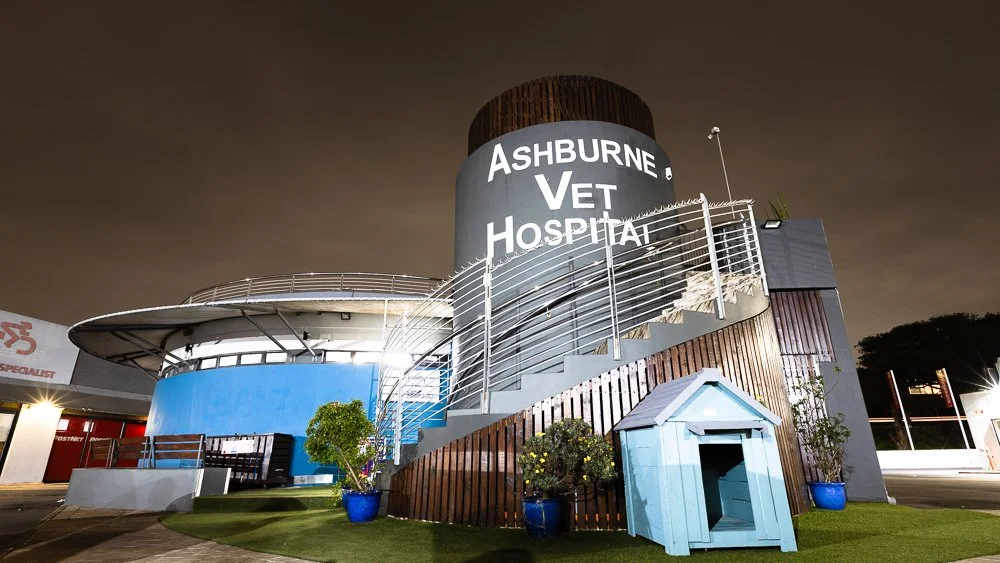 Did you know, we have a Vet permanently on the premises 24/7, 365?

#ashburnevet #durban #umhlanga #southafrica #veterinary #vet #veterinarymedicine #veterinarian #vetmed #vetlife #veterinaria #vettech #veterinarysurgeon #veterinarianlife #vetmedworl