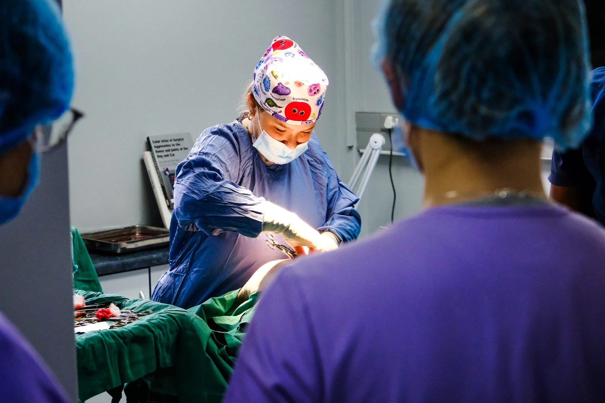 A glimpse into surgery 🩺 Dr Inka at work, focused, skilled, and sometimes wearing scrubs that bring a little personality into the theatre. Serious care, delivered with heart.

#ashburnevet #durban #umhlanga #southafrica #veterinary