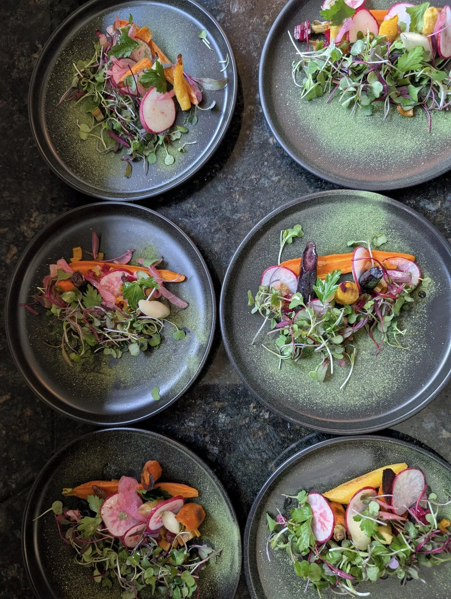 Six black plates with colorful microgreens and radish slices, arranged on a dark countertop.