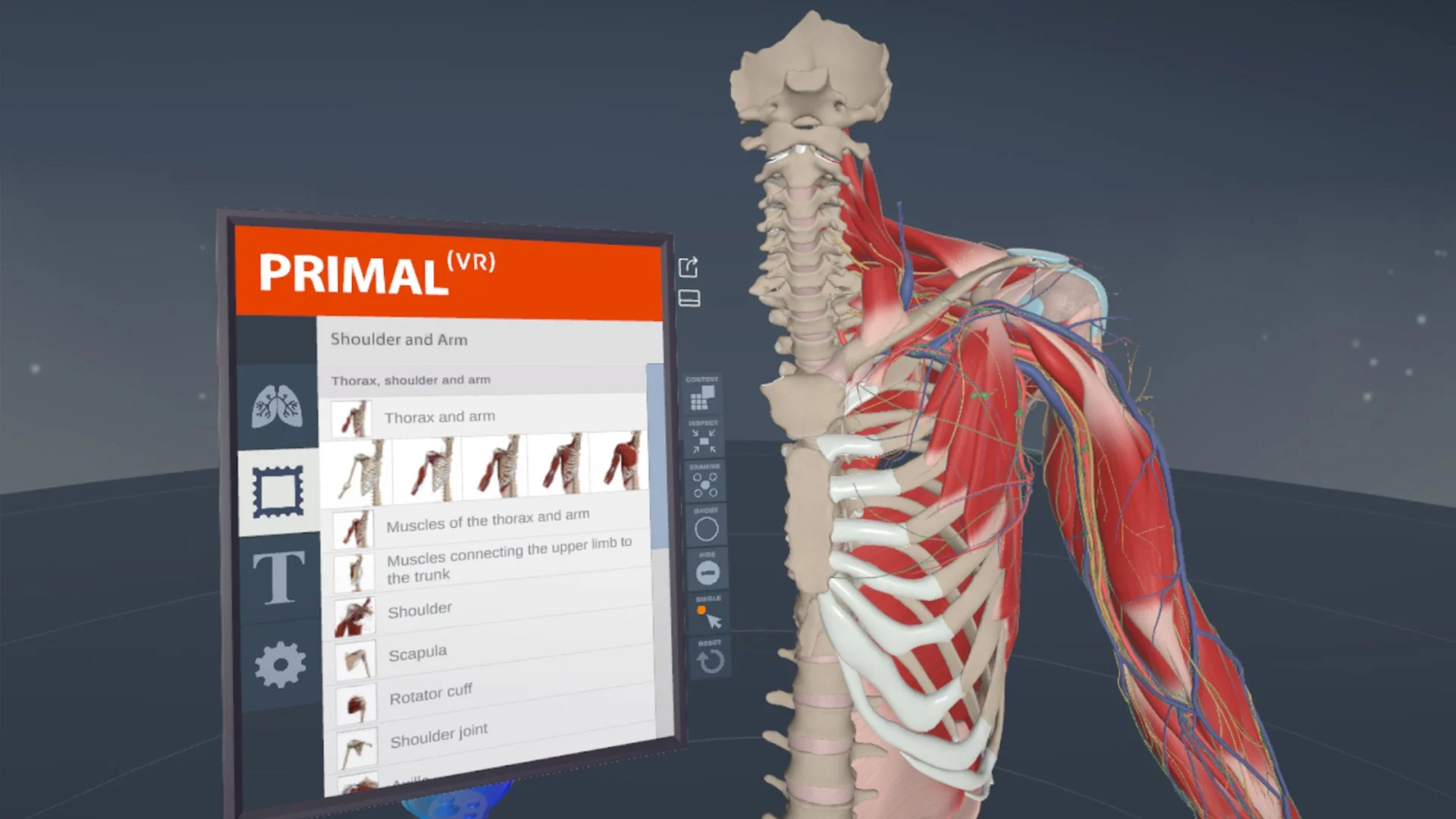 Primal_02.jpg